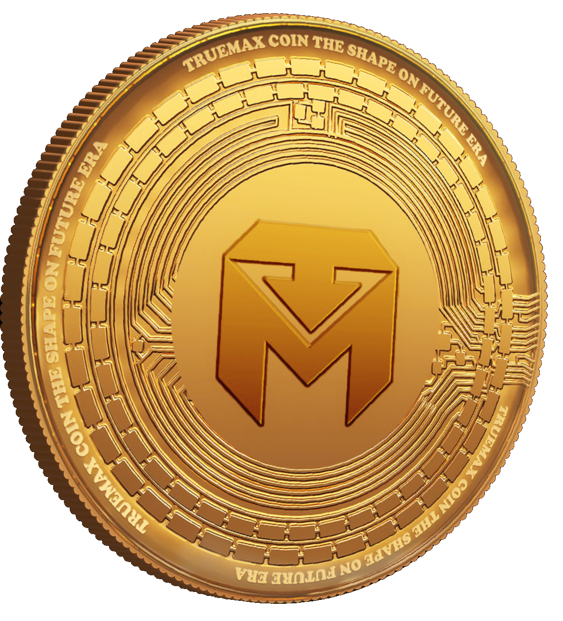 Truemax Coin The Shape of Future Era